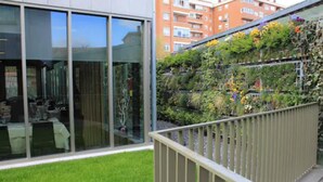 Un edificio moderno con amplios ventanales, un balcón con barandilla metálica y un jardín vertical con diversas plantas y flores.