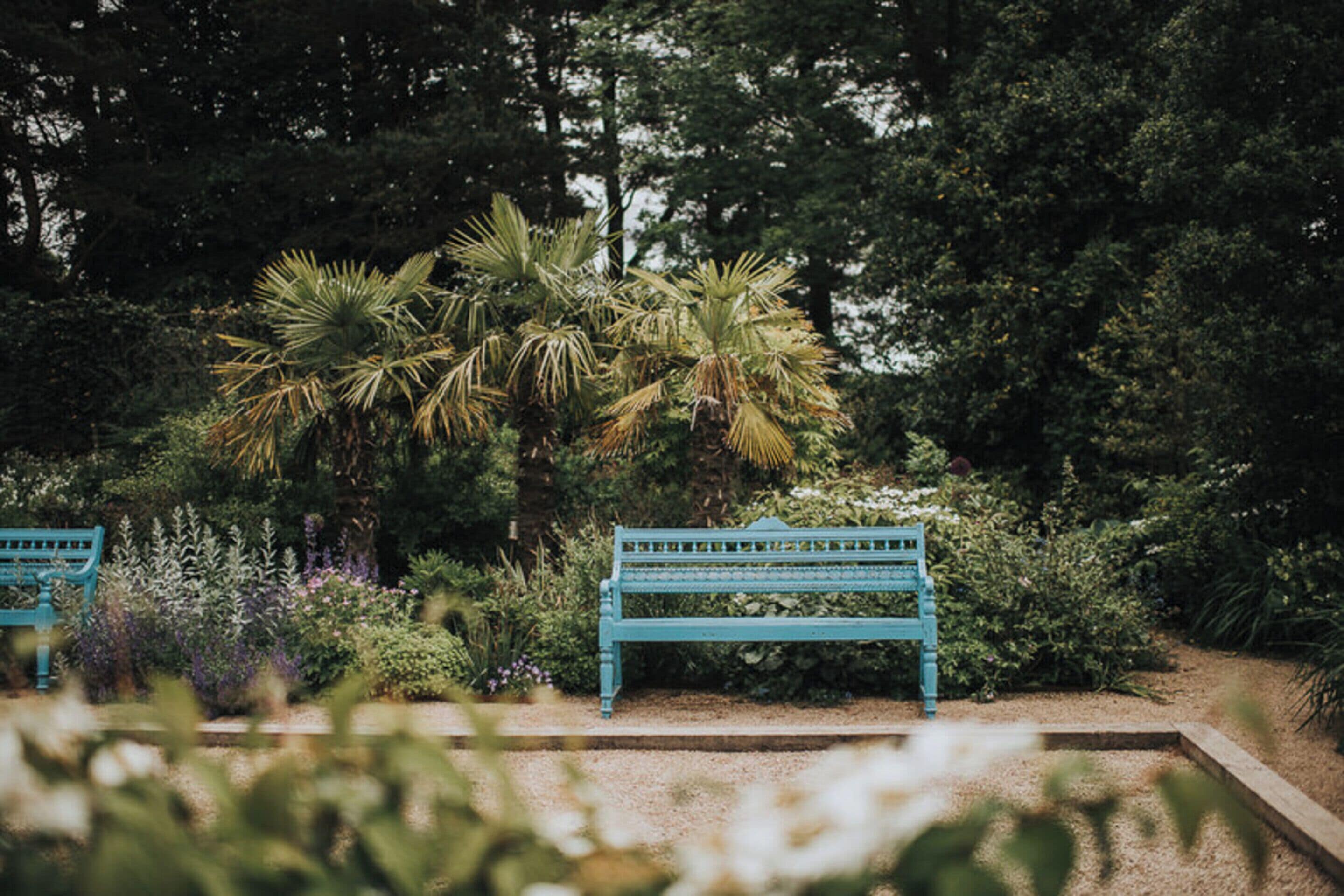 A bench in a garden with dense foliage and trees in the background.