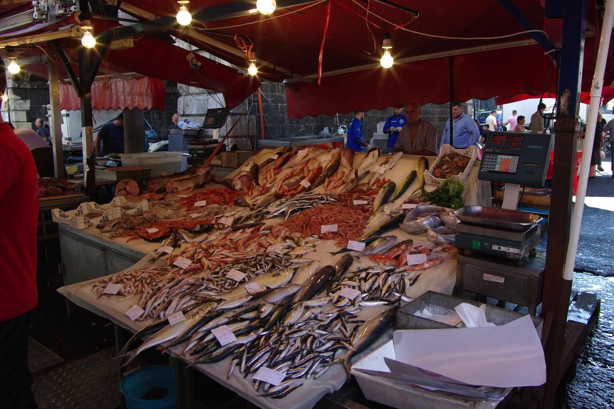 Photo - Il Leone Blu