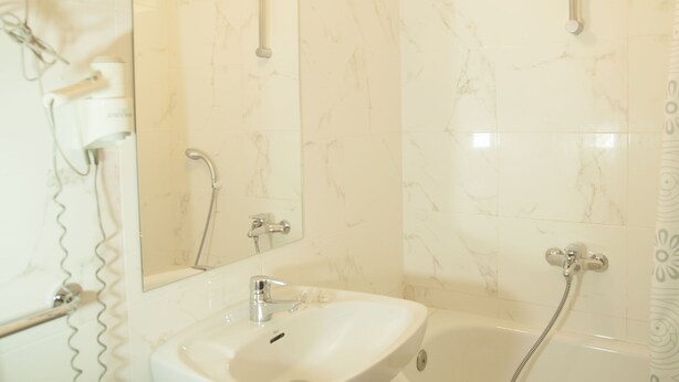 A bathroom with a white sink, a mirror, and a shower with a handheld showerhead. - Dato 2 (Vitoria-Gasteiz)