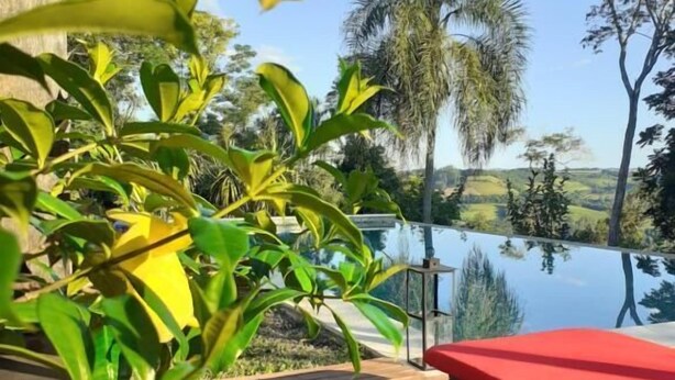 A wooden deck with a red bench, surrounded by lush greenery and palm trees, overlooking a calm body of water. - El Soberbio Lodge (El Soberbio)