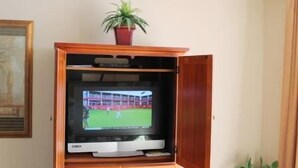 A wooden entertainment unit with a television displaying a sports game, a potted plant on top, and a framed picture to the left.