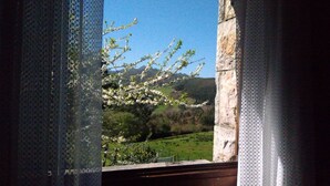 A window with a view of a landscape, including trees and a distant mountain range.