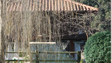 Căn hộ, bếp | Quang cảnh vườn
