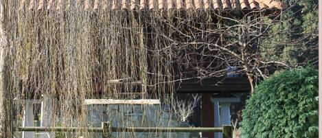 Apartment, Kitchen | Garden view