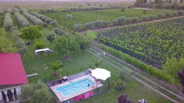 A residential property with a swimming pool, a covered patio, and a vineyard. - Finca Fisterra (Fray Luis Beltrán)