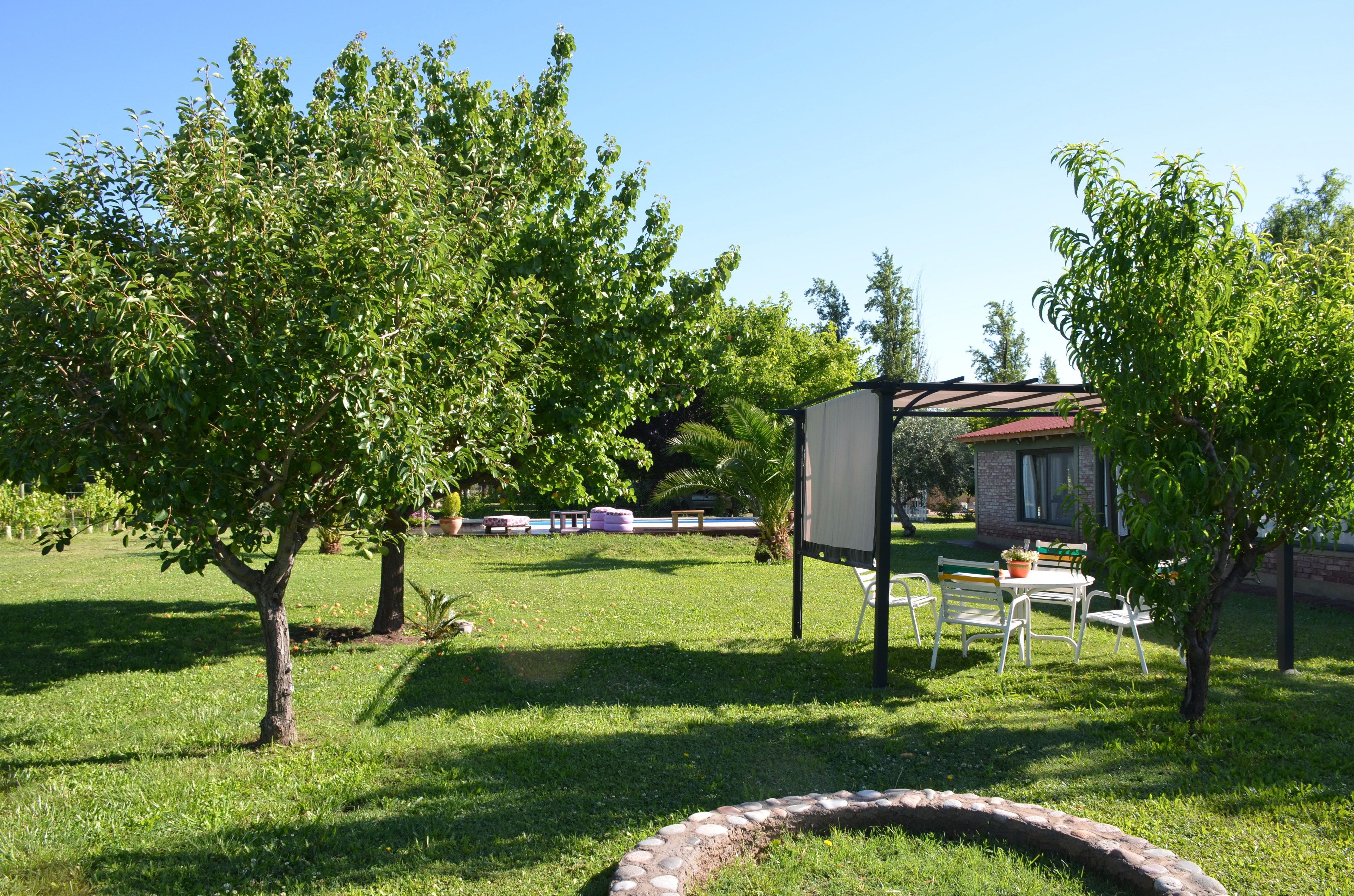 A garden area with a pergola, outdoor seating, and a small building with a red roof.
