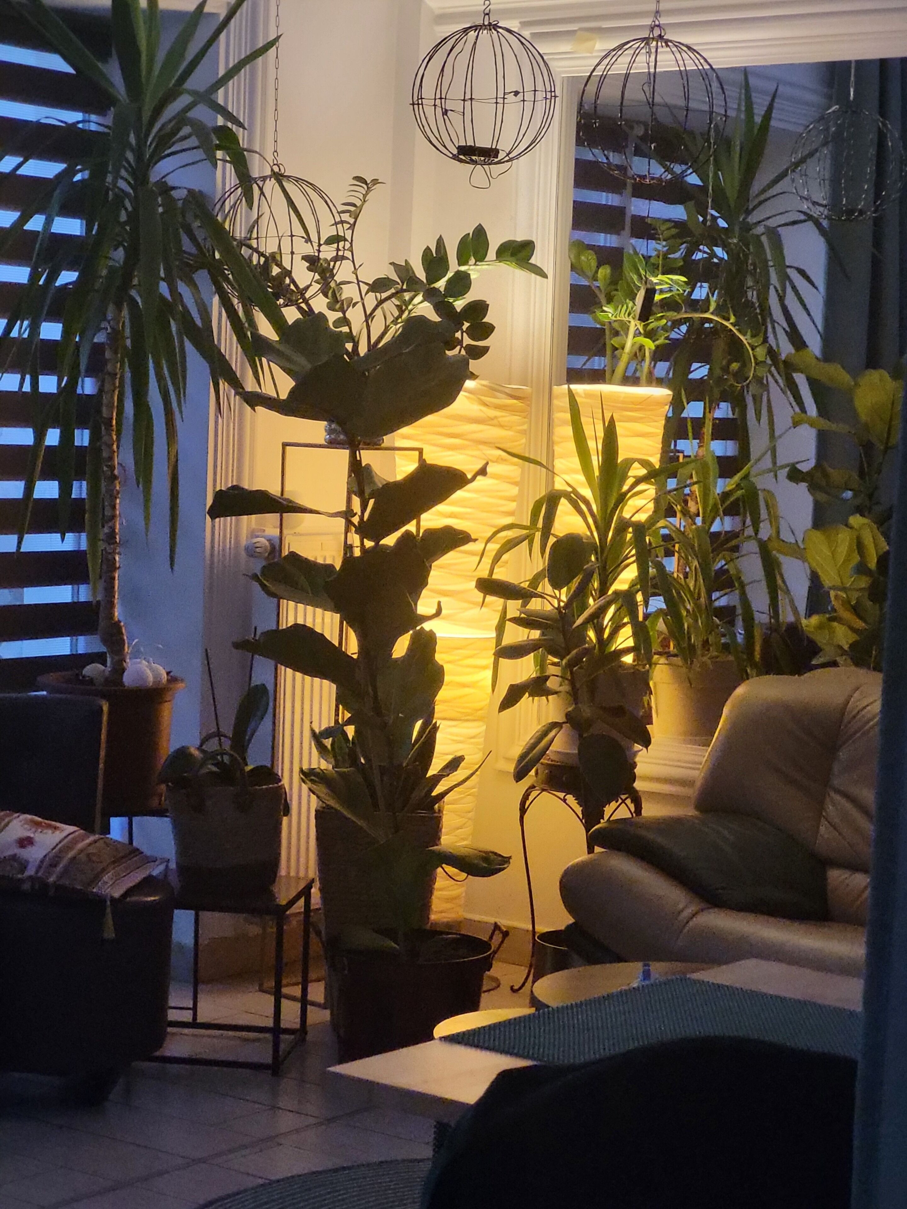 Un salon avec un canapé, une table basse et plusieurs plantes en pot.