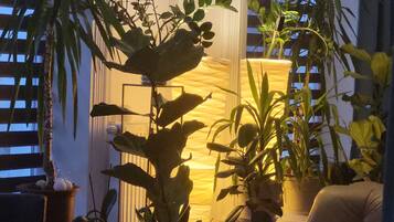 Un salon avec un canapé, une table basse et plusieurs plantes en pot.