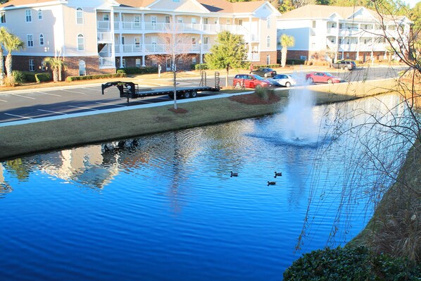 Standard Apartment, 2 Bedrooms | Fountain