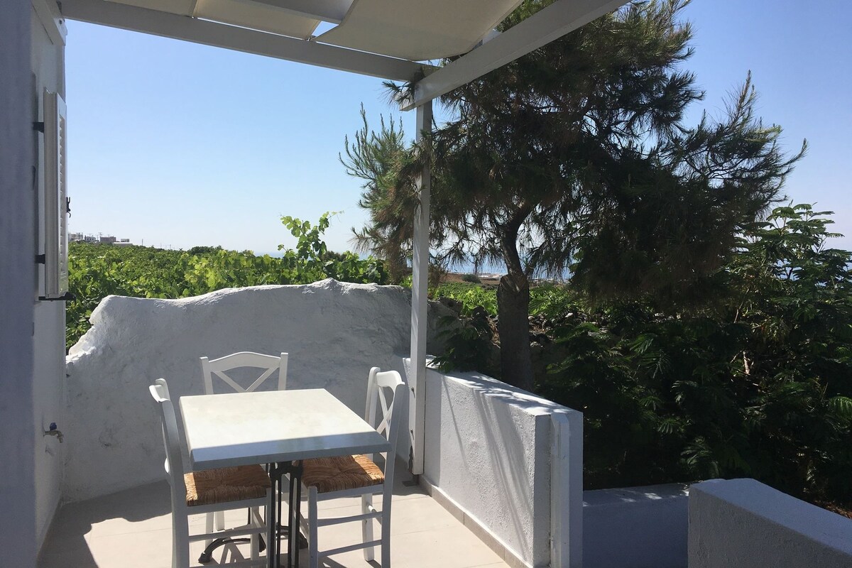 Leilighet, sjøutsikt | Terrasse/patio