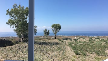 Apartment, Sea View | View from room
