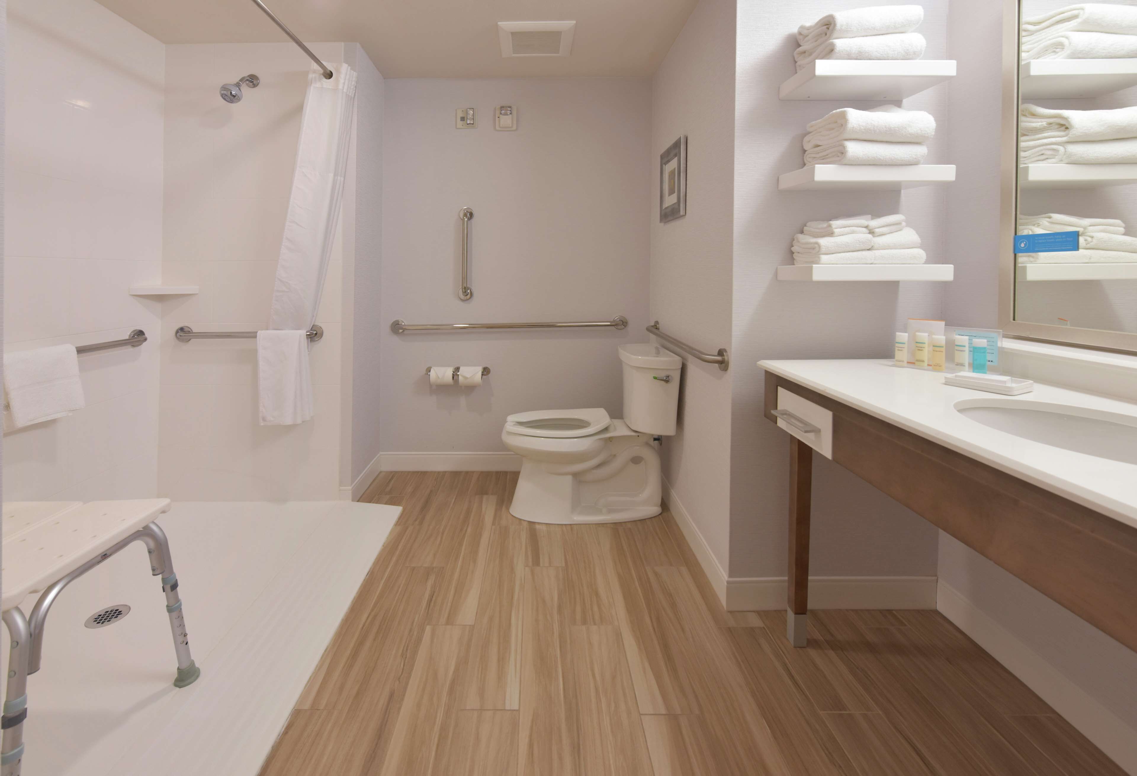 room, 1 king bed, accessible, non smoking (w/ roll-in shower) | bathroom | free toiletries, hair dryer, towels, soap