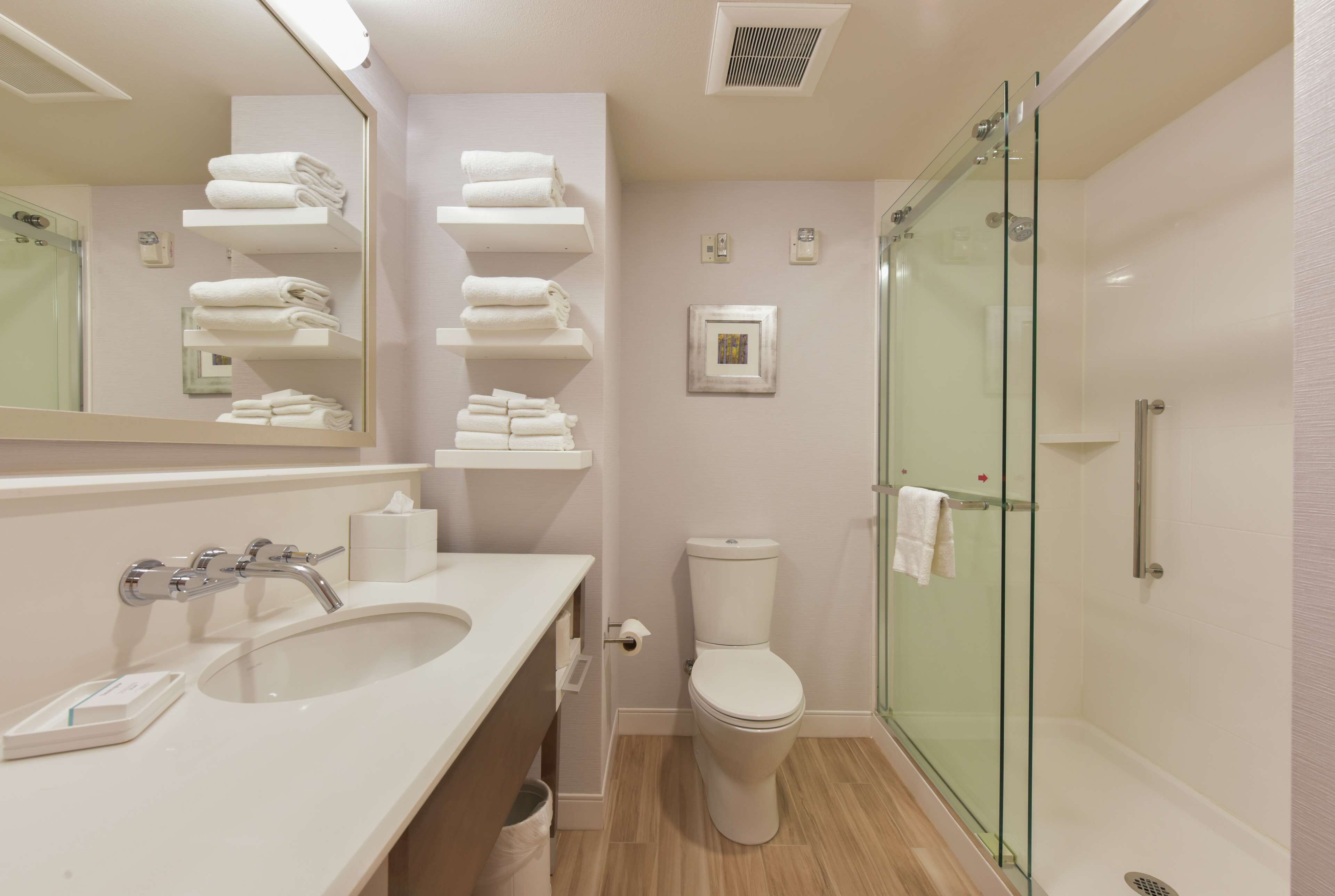 A modern bathroom with a glass-enclosed shower, a white sink, and a toilet.