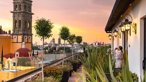 Un balcón con plantas en macetas, vista a un paisaje urbano que incluye una torre, y un atardecer.