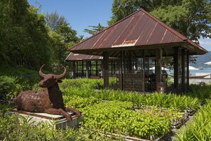 3 restaurants, breakfast, lunch, dinner served; Thai cuisine