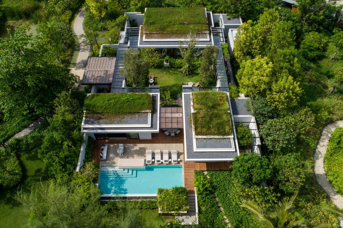 A modern house with a rooftop garden, a swimming pool, and a well-maintained garden.