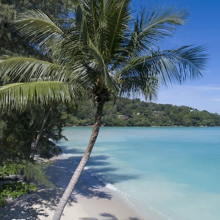 On the beach, white sand, kayaking