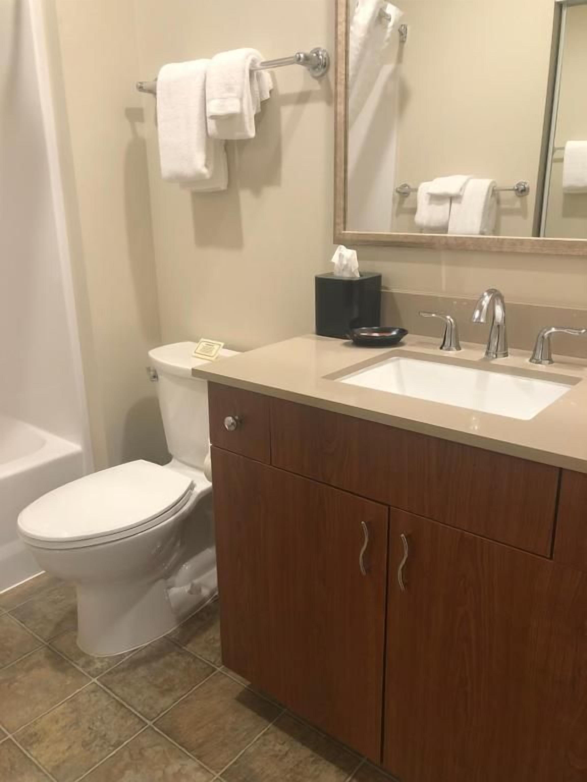 Une salle de bain équipée de toilettes, d’un lavabo, d’un miroir et d’un porte-serviettes.
