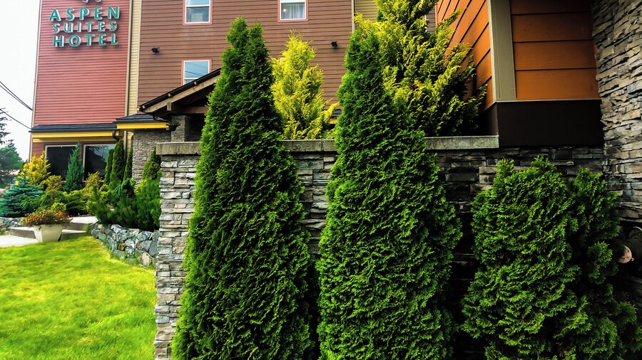 Aspen Suites Hotel Sitka