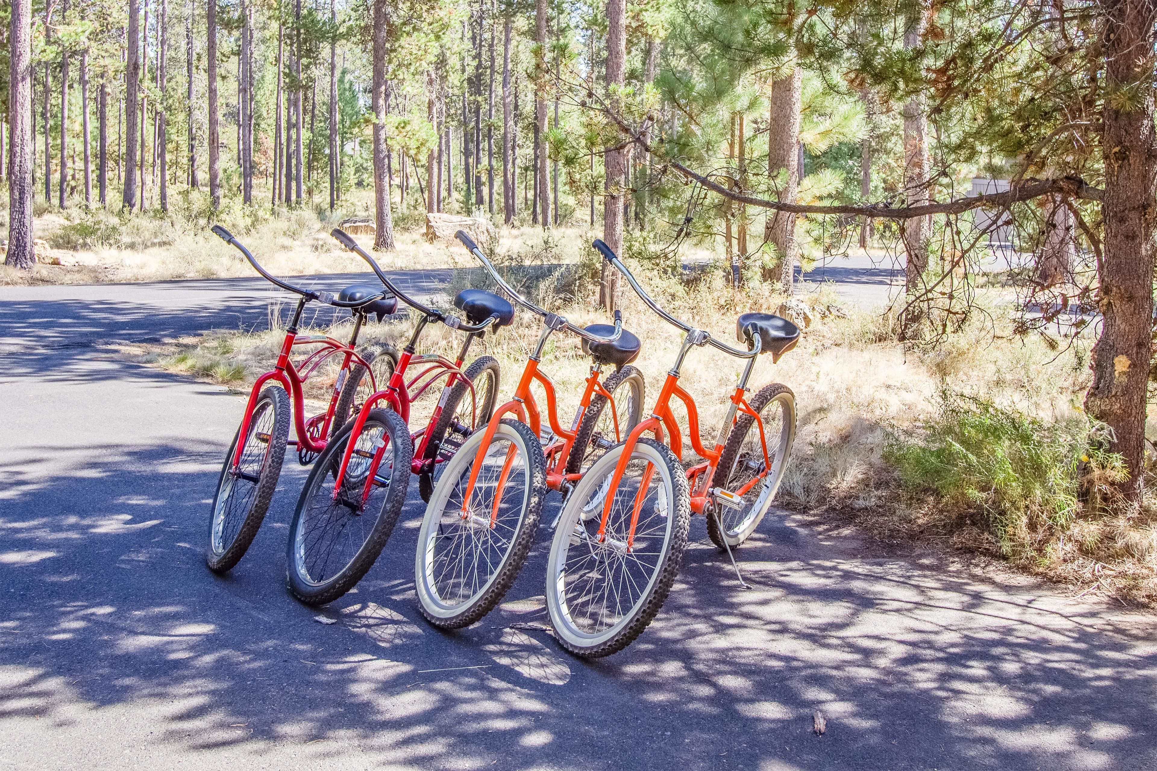A row of bicycles parked on a paved path in a forested area.