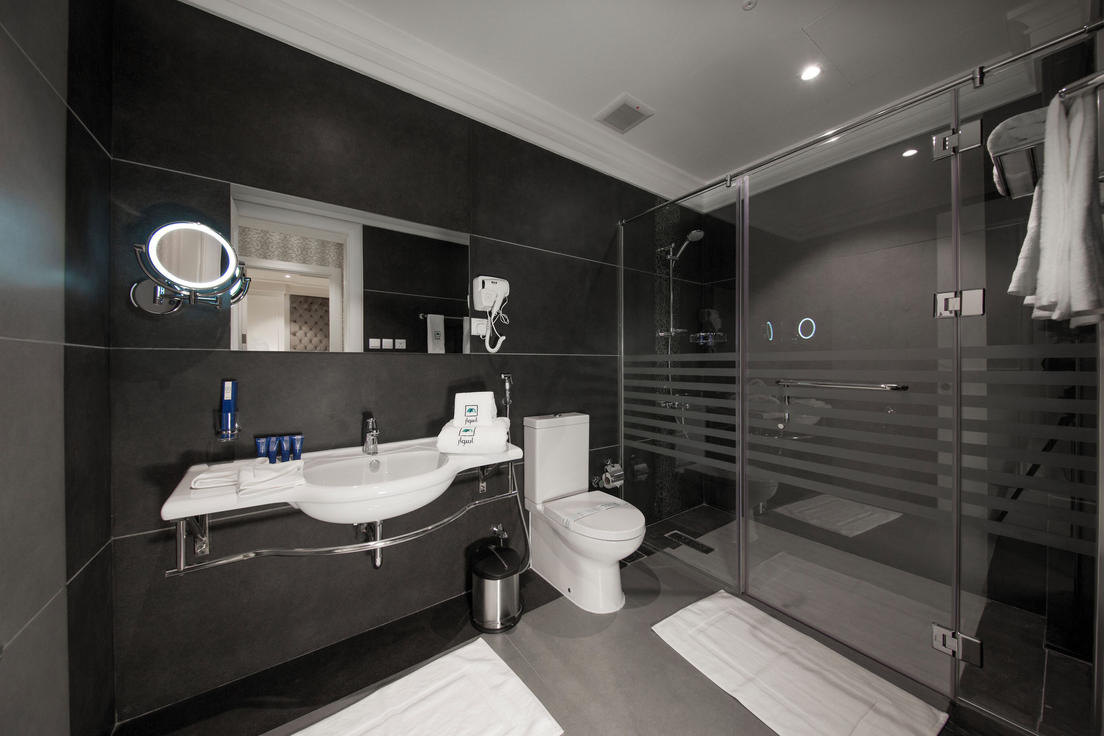 Une salle de bain moderne avec une douche à parois de verre, un lavabo blanc et des toilettes.
