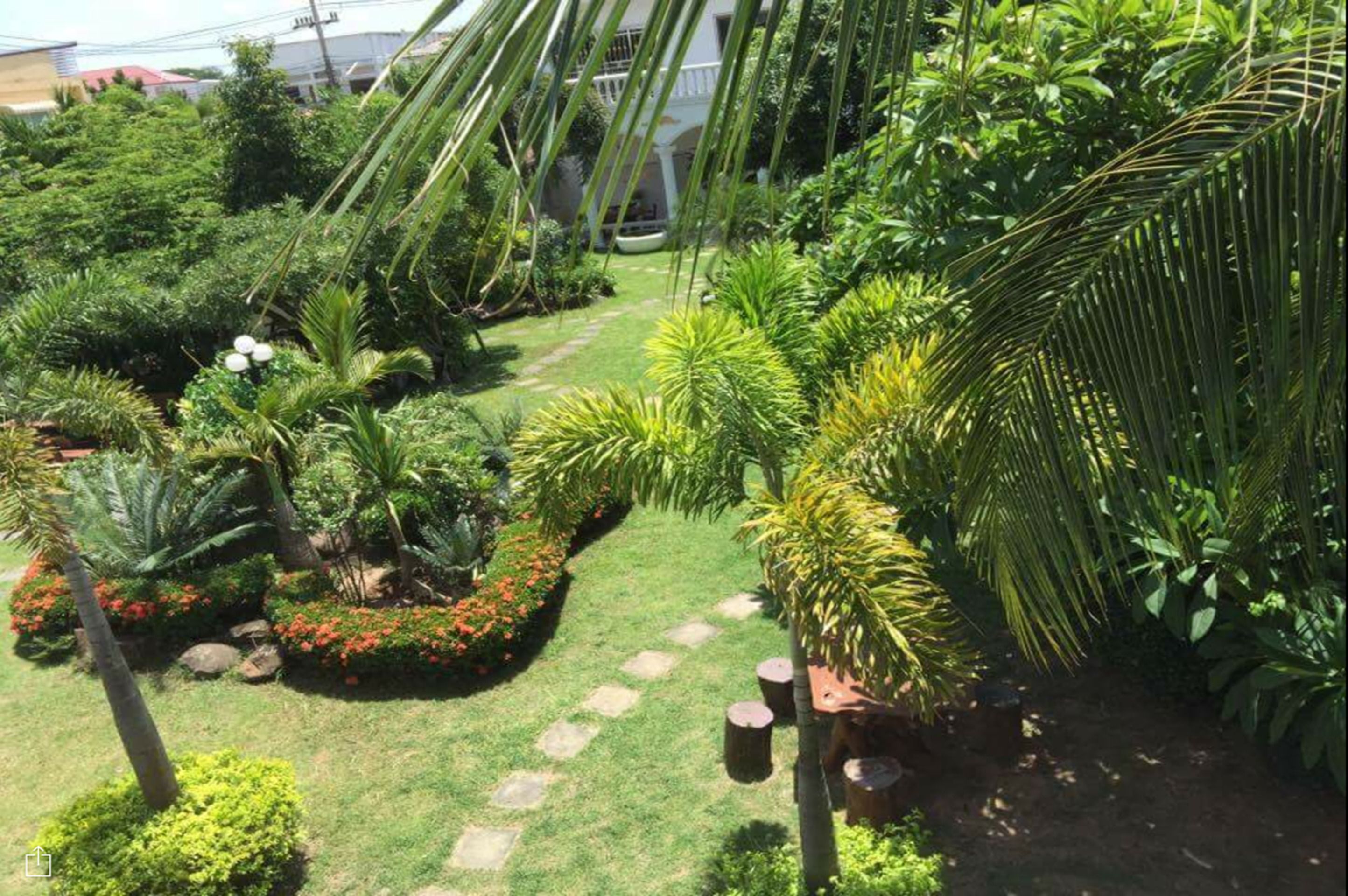 A lush garden with various tropical plants and a stone pathway.
