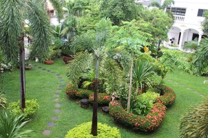 Un exuberante jardín con diversas plantas y un sendero de piedra.