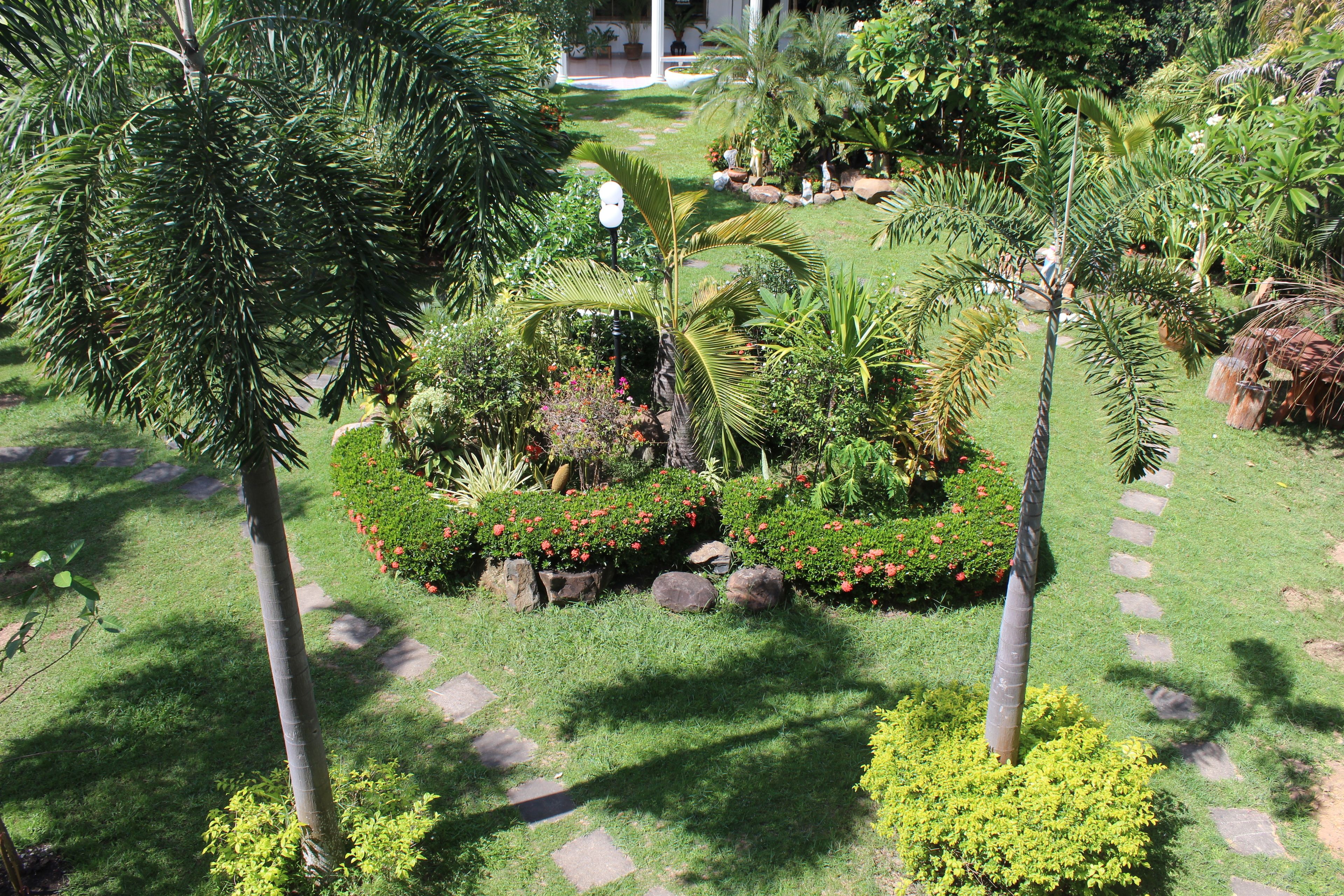 Un jardin bien entretenu, agrémenté de diverses plantes et doté d’un sentier.