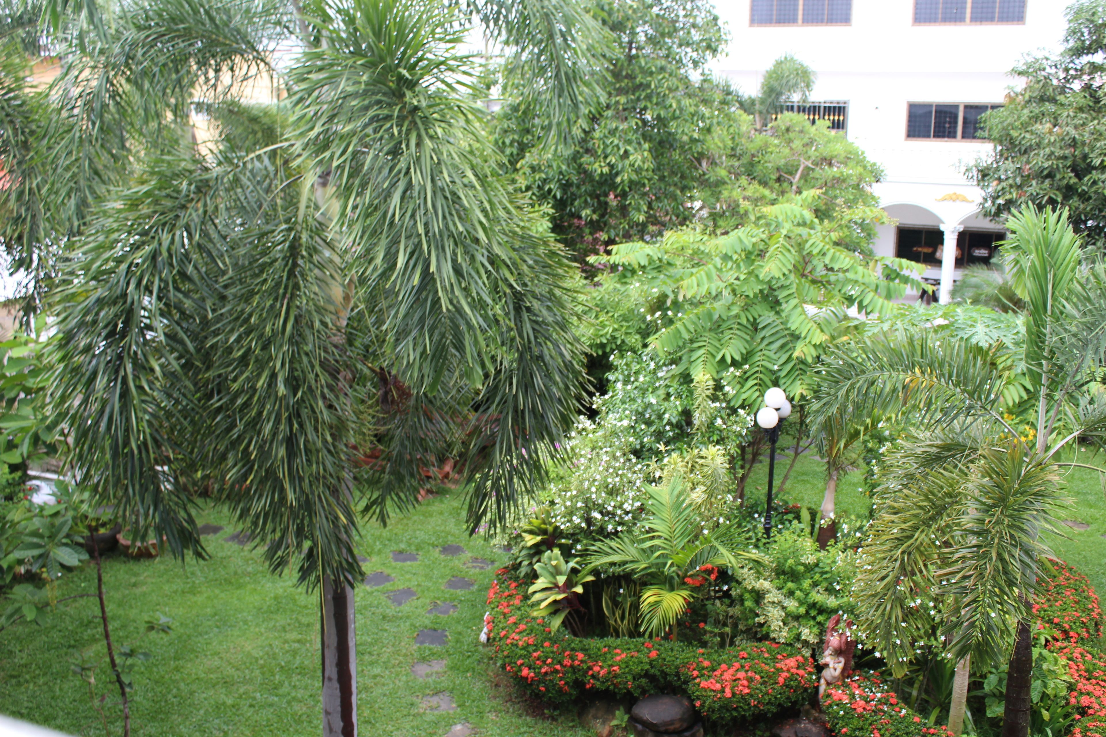 Un exuberante jardín con diversas plantas y flores, un sendero de piedra y un edificio al fondo.