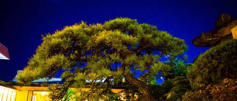 A night scene of a traditional Japanese garden with a prominent pine tree, a rock formation, and a building with illuminated windows in the background.