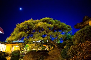 Jardim