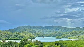 A lush landscape with dense greenery and a calm lake surrounded by hills.