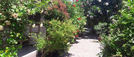 Un sendero en un jardín con diversas plantas y flores.