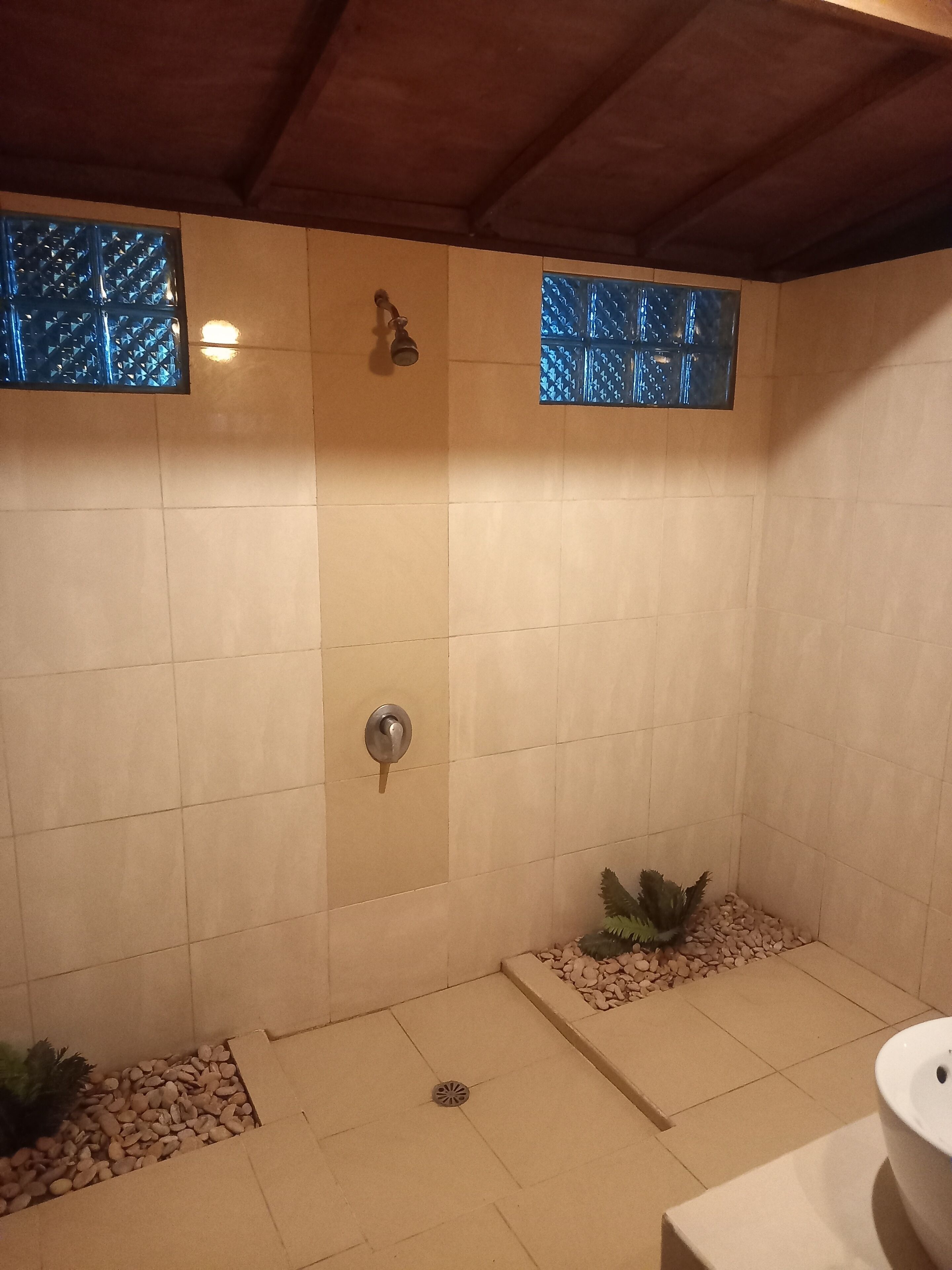 Casa de banho com chuveiro, paredes em azulejo, lavatório e plantas decorativas.
