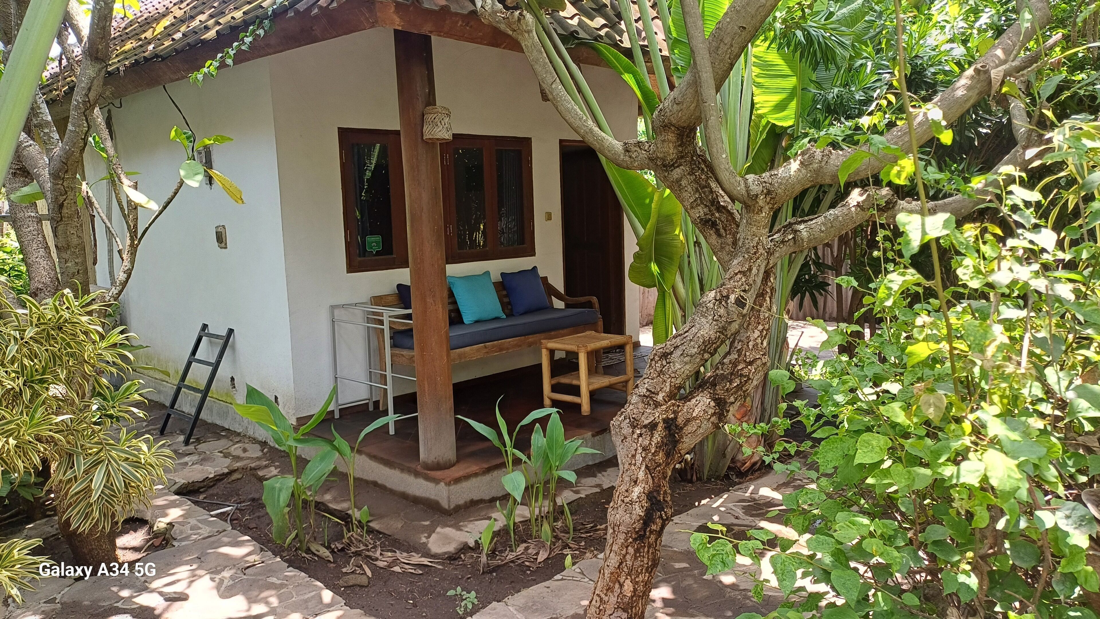 A cozy outdoor seating area with a wooden bench and a table, surrounded by lush greenery and a tree.