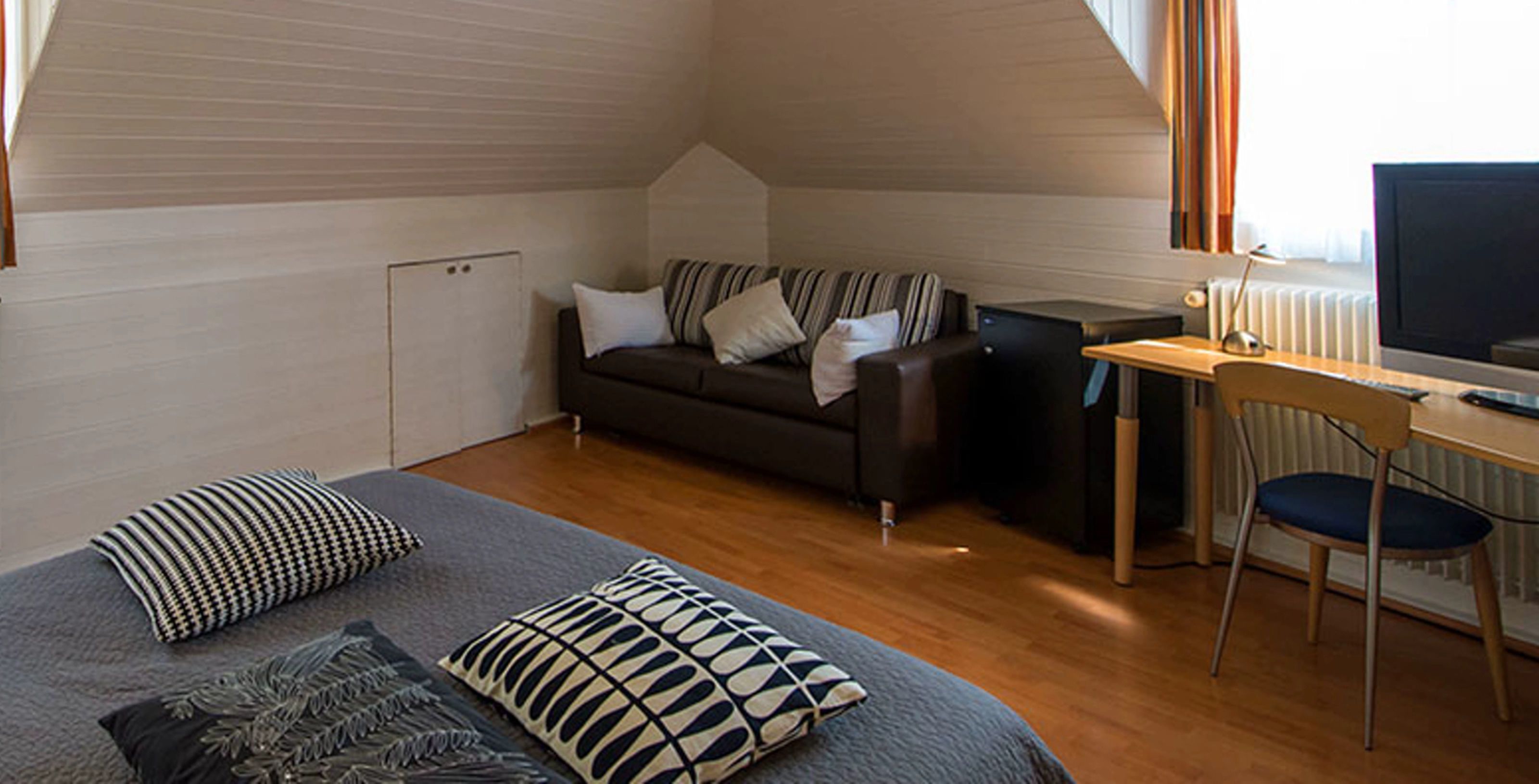 A compact room with a bed, a sofa, a desk, and a chair.
