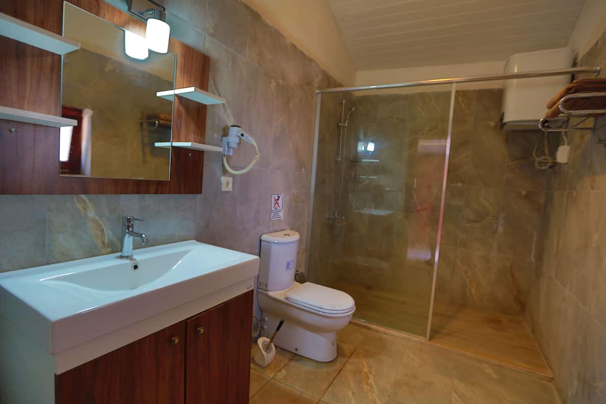 Douche, articles de toilette (gratuits), séchoir à cheveux