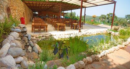 Tomato Bodrum