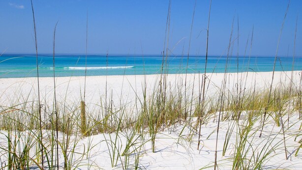 A beach with white sand and tall grasses in the foreground, leading to a clear blue ocean under a clear sky. - Beach Haven 3 Bedroom Condo By Coastal Dreamin (Santa Rosa Beach)