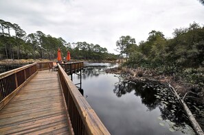 Dock