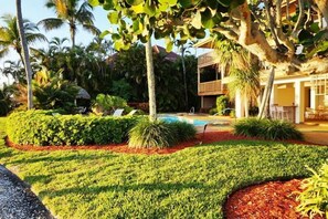 Un complexe hôtelier doté d’une piscine, de palmiers et d’un aménagement paysager bien entretenu.