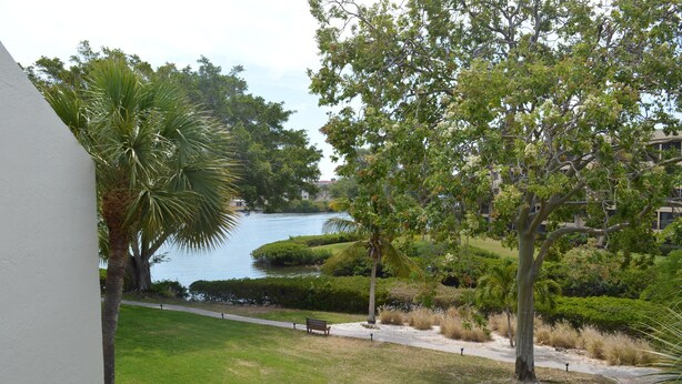 A view of a landscaped area with a water body, palm trees, and a bench.