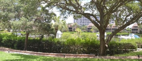 A lush green park with mature trees and a pathway.