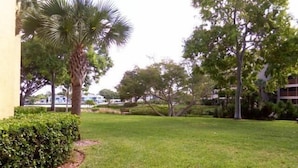 A well-maintained grassy area with a palm tree and various shrubs, surrounded by trees and buildings. - Cove II 312F 2 Bedroom Condo By Midnight Cove II (Siesta Key)