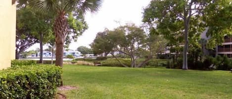 A well-maintained grassy area with a palm tree and various shrubs, surrounded by trees and buildings.