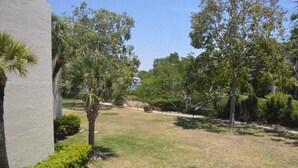 A grassy courtyard with palm trees, a bench, and a building in the background.