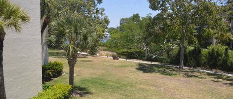 Comfort Condo, 2 Bedrooms, Canal View | Property grounds