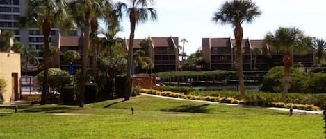 Un patio cubierto de césped con palmeras y un edificio de varios pisos al fondo.