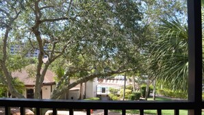 A residential area with a house, a palm tree, and a fence. - Cove II 620D 3 Bedroom Holiday home By Midnight Cove II (Siesta Key)